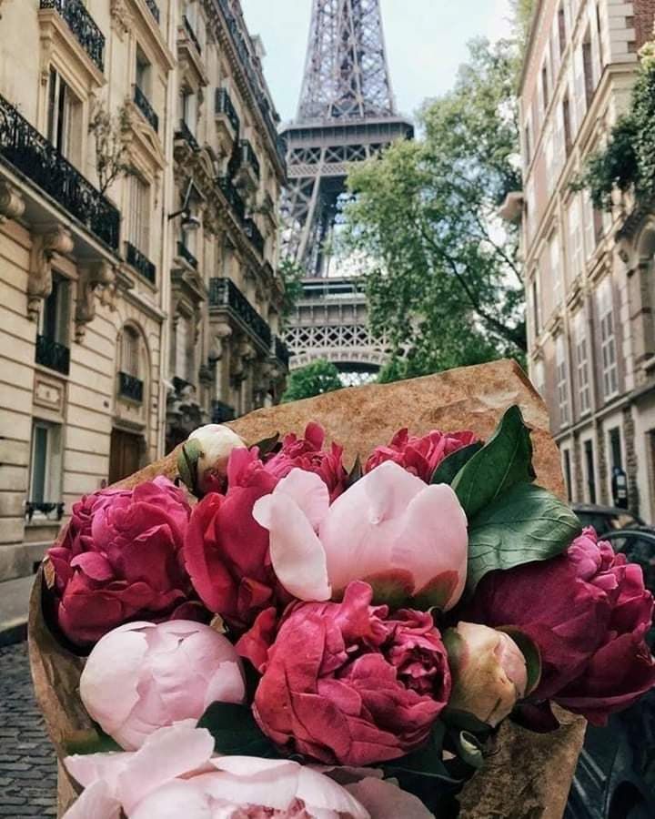 პარიზი/ საფრანგეთი