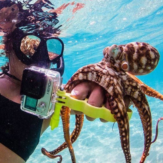 აია ნაპა ♥ !