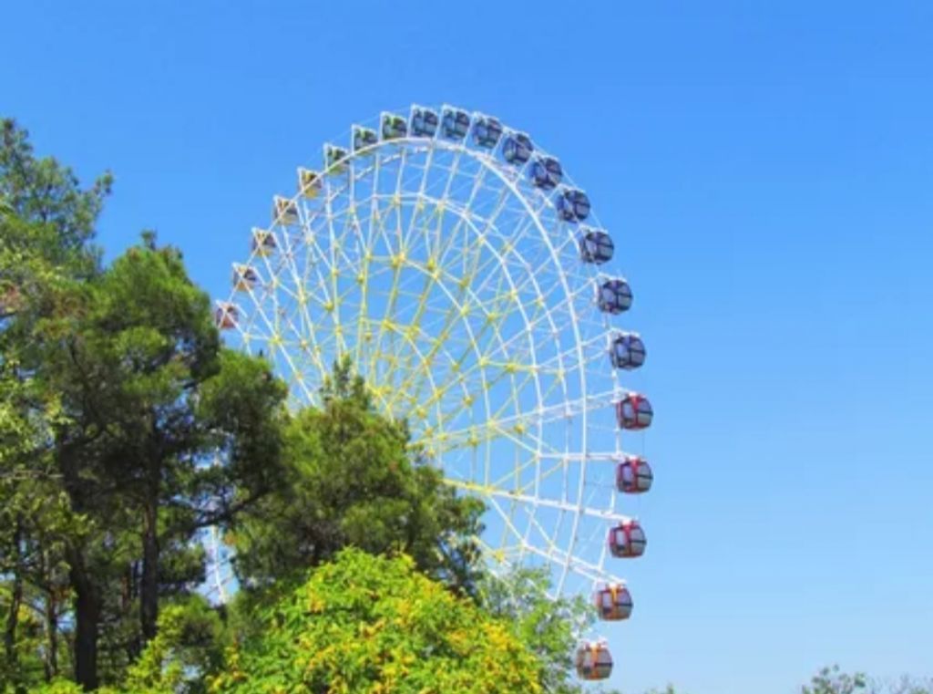 ერთდღიანი ტური თბილისში ..