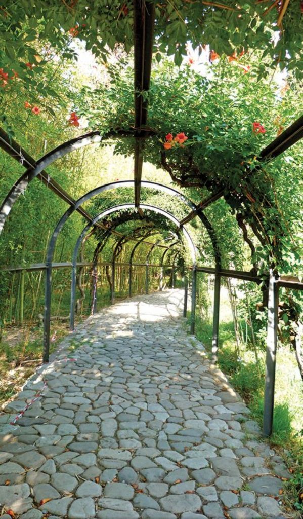 ერთდღიანი დაუვიწყარი ტური კახეთში.. - სიღნაღი-ბოდბე-ყვარელი-წინანდალი-შუამთა