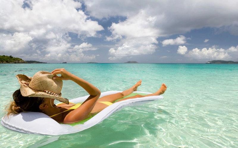 კუშიდასი - საუკეთესო ფასი