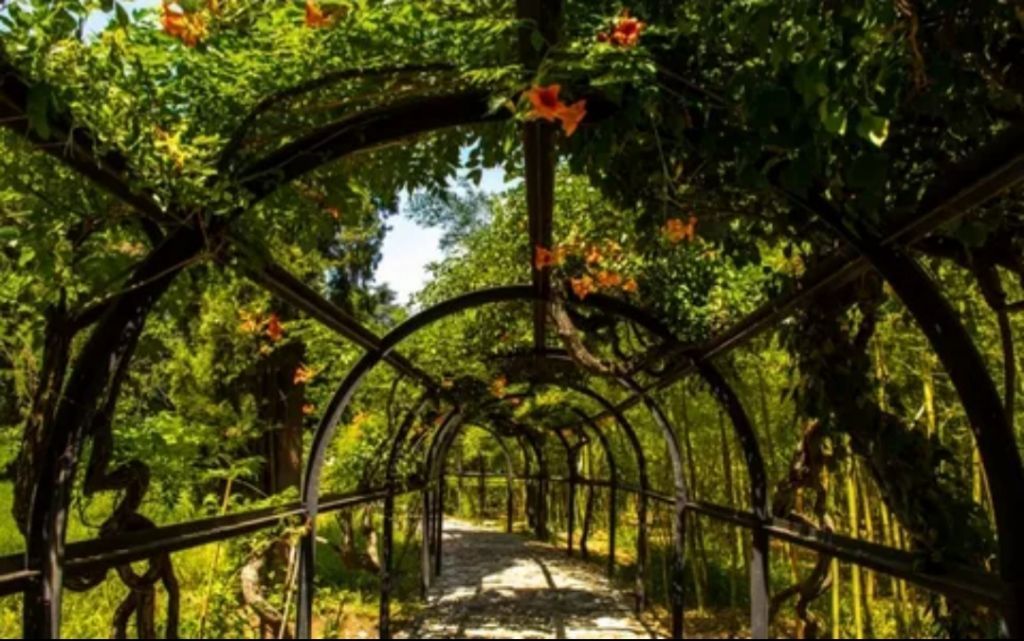 ერთდღიანი დაუვიწყარი ტური კახეთში.. - სიღნაღი-ბოდბე-ყვარელი-წინანდალი-შუამთა