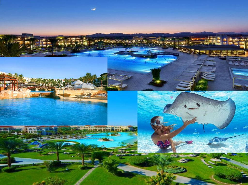 ადექი და სცადე