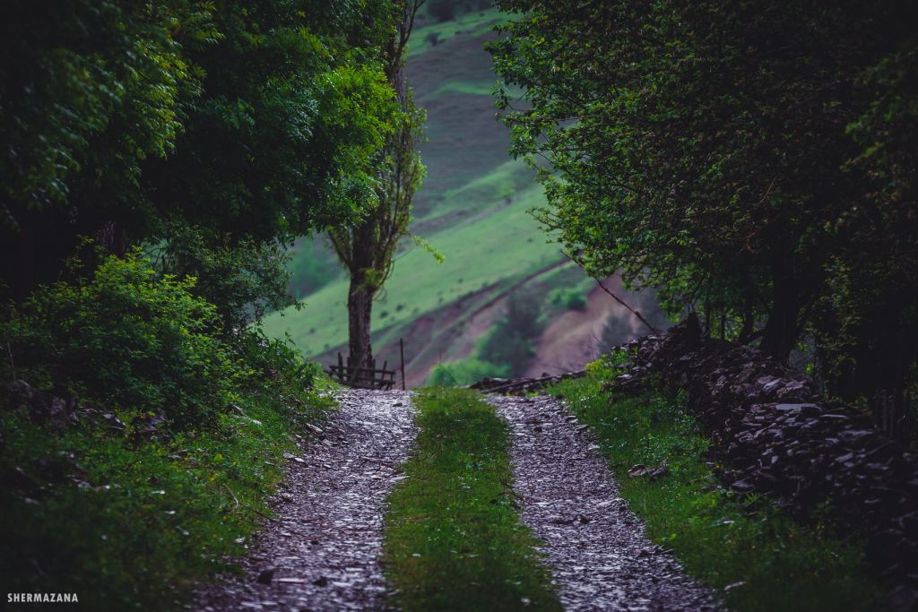 მოირონინე გუდამაყარი ივნისს