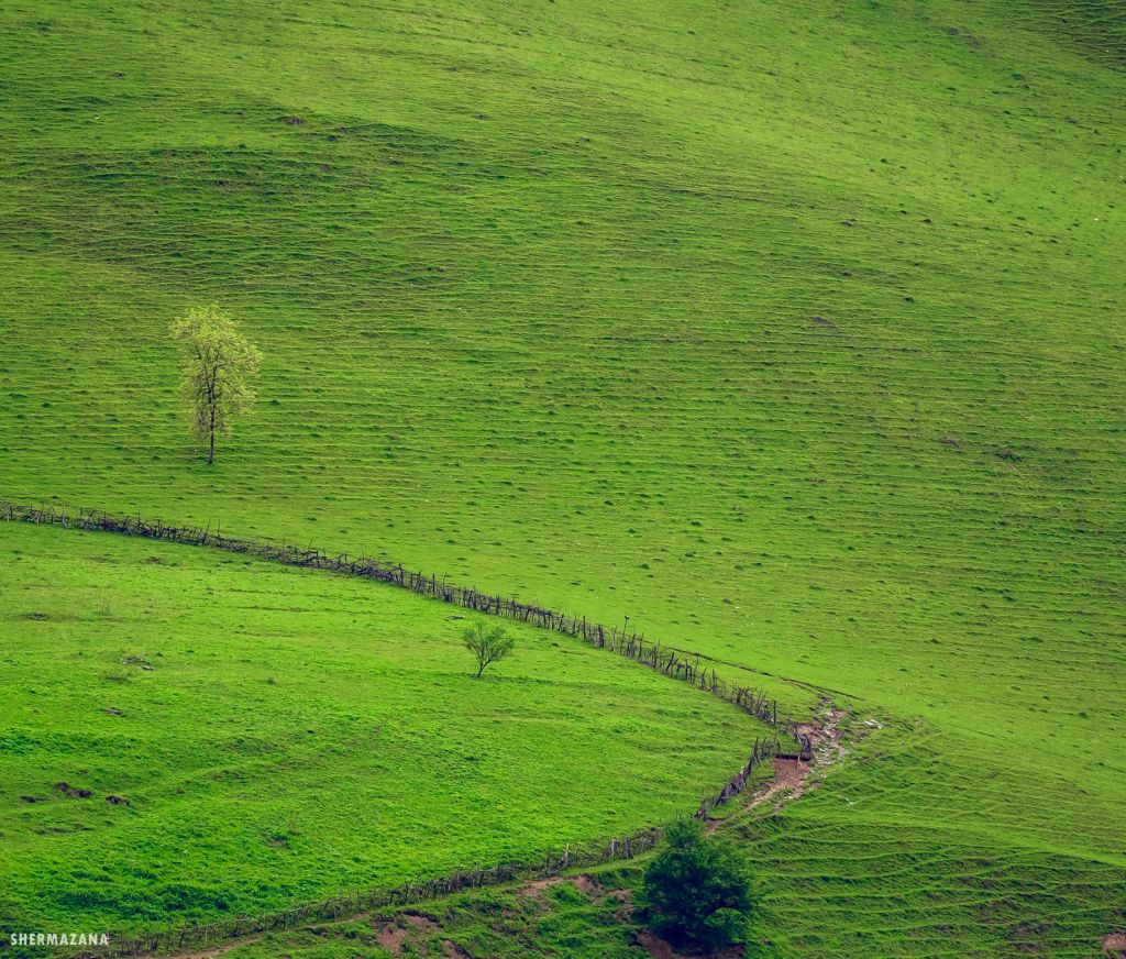 მოირონინე გუდამაყარი ივნისს