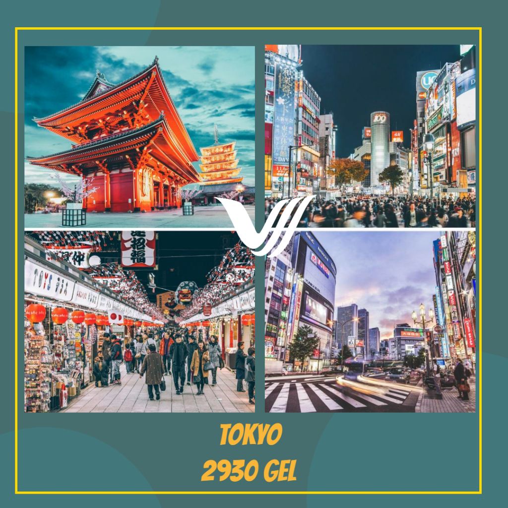 ტოკიოს საგზური  !