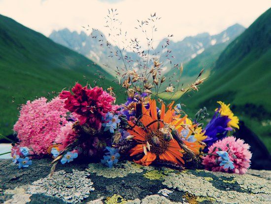 ჯუთას გარანტირებული ტური მაისს