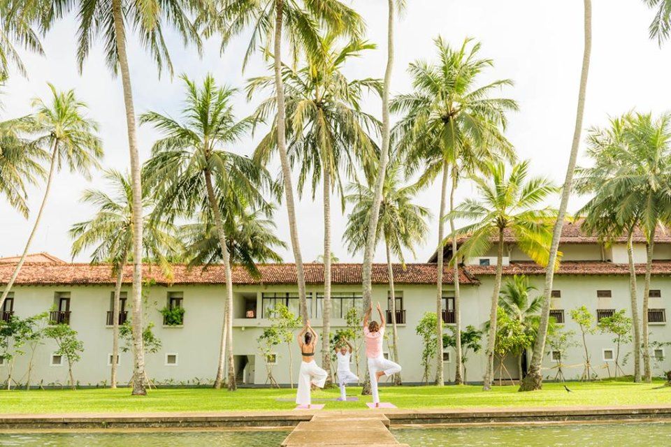 შრი ლანკა - დღიანი საგზურები !