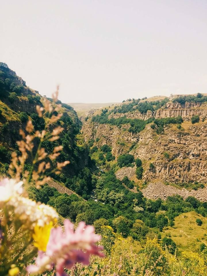დაშბაშის კანიონი,ბერთას სასწაულმოქმედი კალმახები