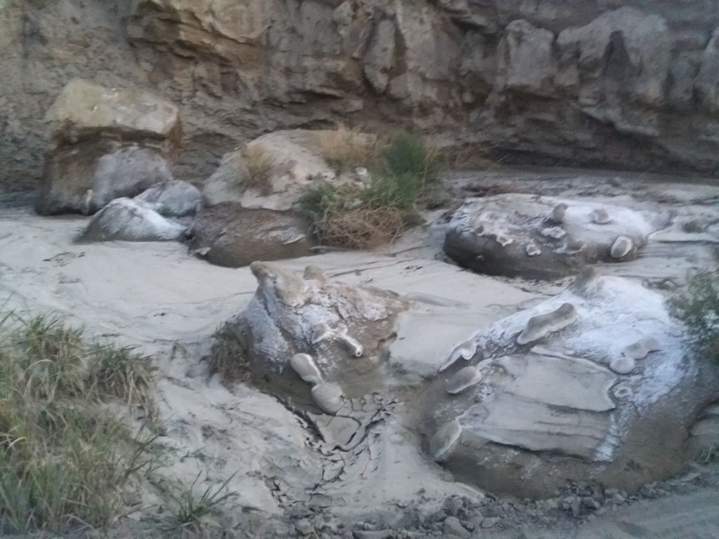 ორდღიანი ჯიპ-ტური ვაშლოვანის ნაკრძალში