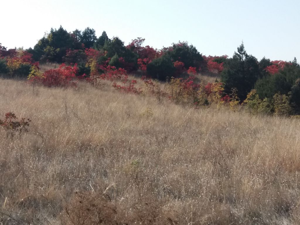 ორდღიანი ჯიპ-ტური ვაშლოვანის ნაკრძალში