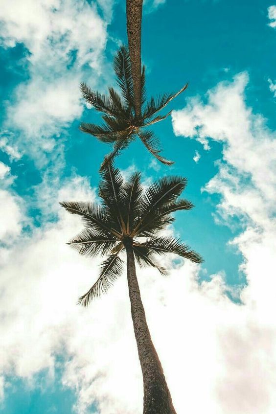 აიანაპა/კვიპროსი