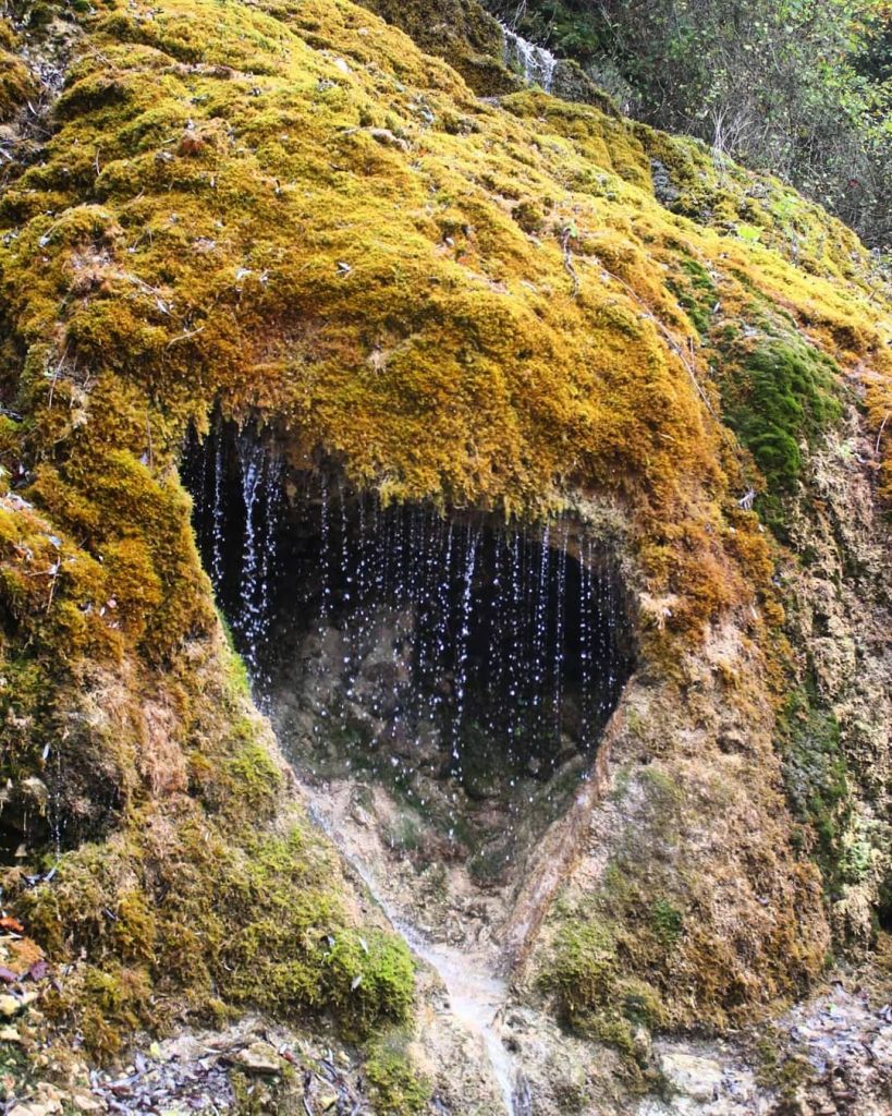 ერთ დღიანი ტური რაჭაში