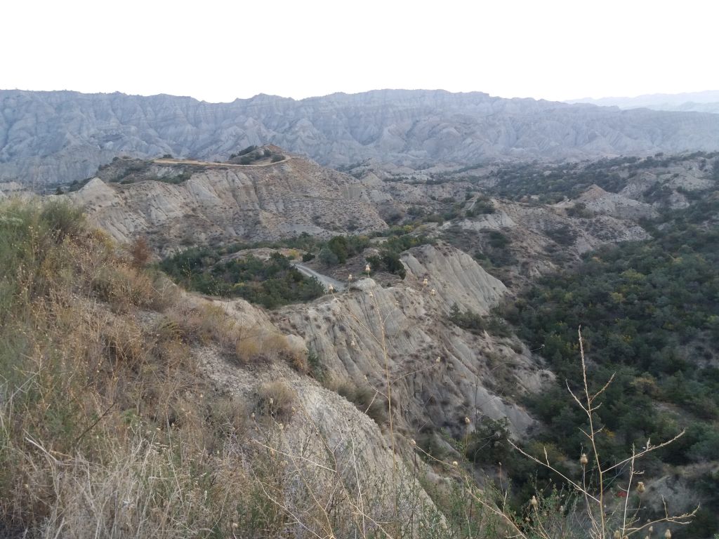 ორდღიანი ჯიპ-ტური ვაშლოვანის ნაკრძალში