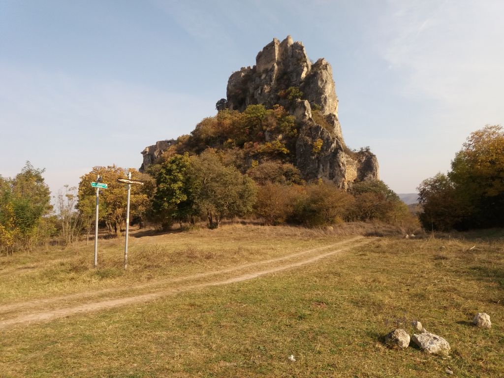 ორდღიანი ჯიპ-ტური ვაშლოვანის ნაკრძალში