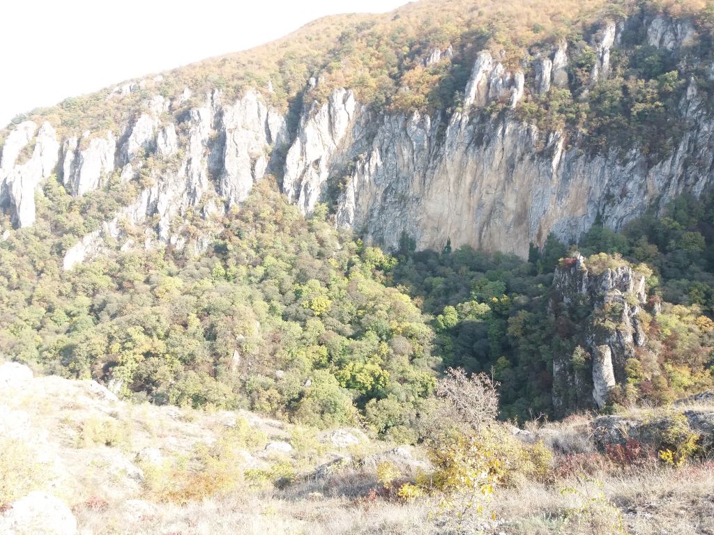 ორდღიანი ჯიპ-ტური ვაშლოვანის ნაკრძალში