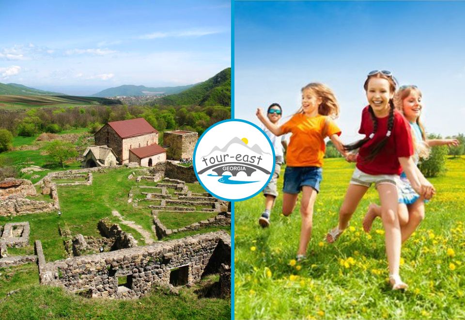 სკოლის ექსკურსიების ორგანიზება