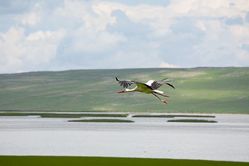 ნინოობა ჯავახეთში - ფარავანი, ფოკა, გორელოვკა და ა.შ.