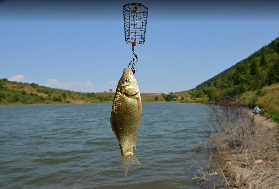 ქვიშხეთი - მთაწმინდა; კოდისწყაროს ტბა; ხცისი