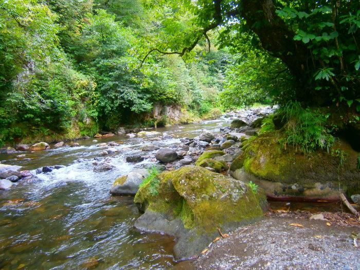 ბათუმი, მტირალას ეროვნული პარკი