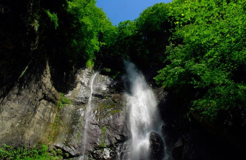 ბათუმი, მტირალას ეროვნული პარკი