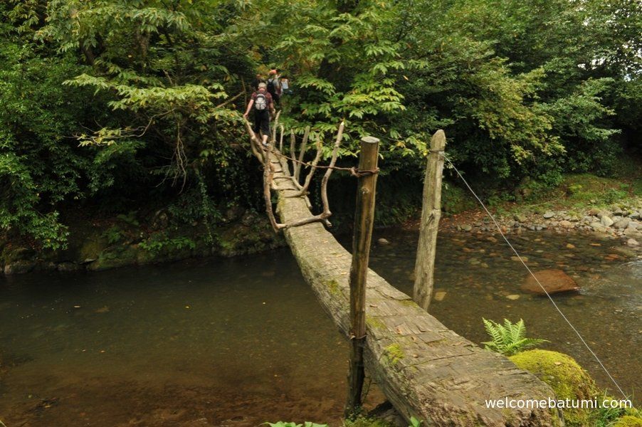 ბათუმი, მტირალას ეროვნული პარკი