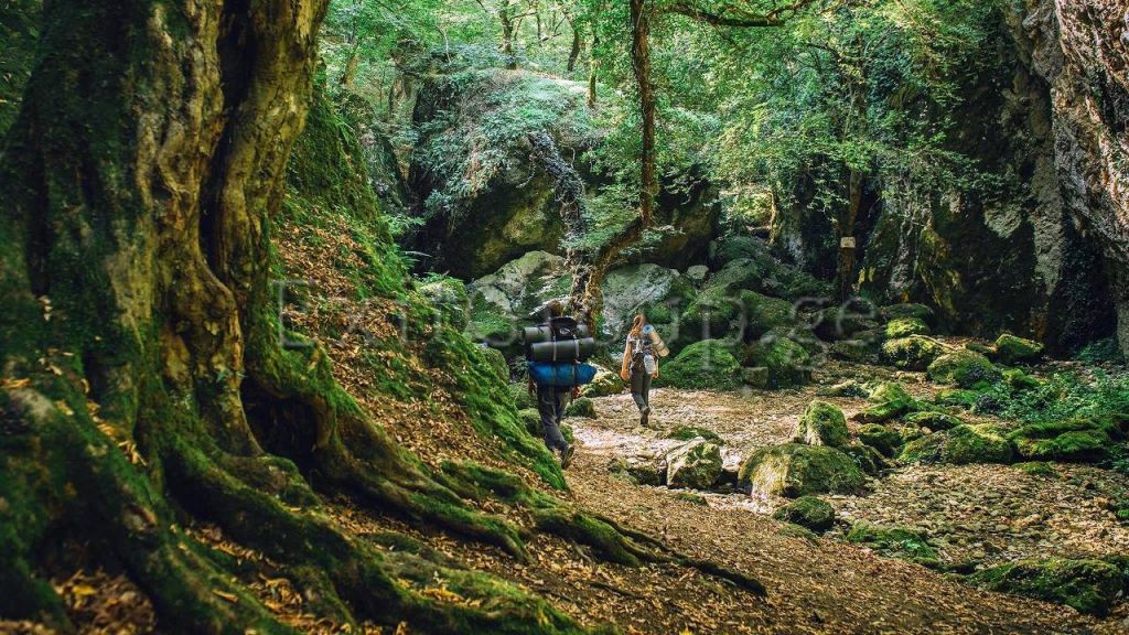 ბათუმი, მტირალას ეროვნული პარკი