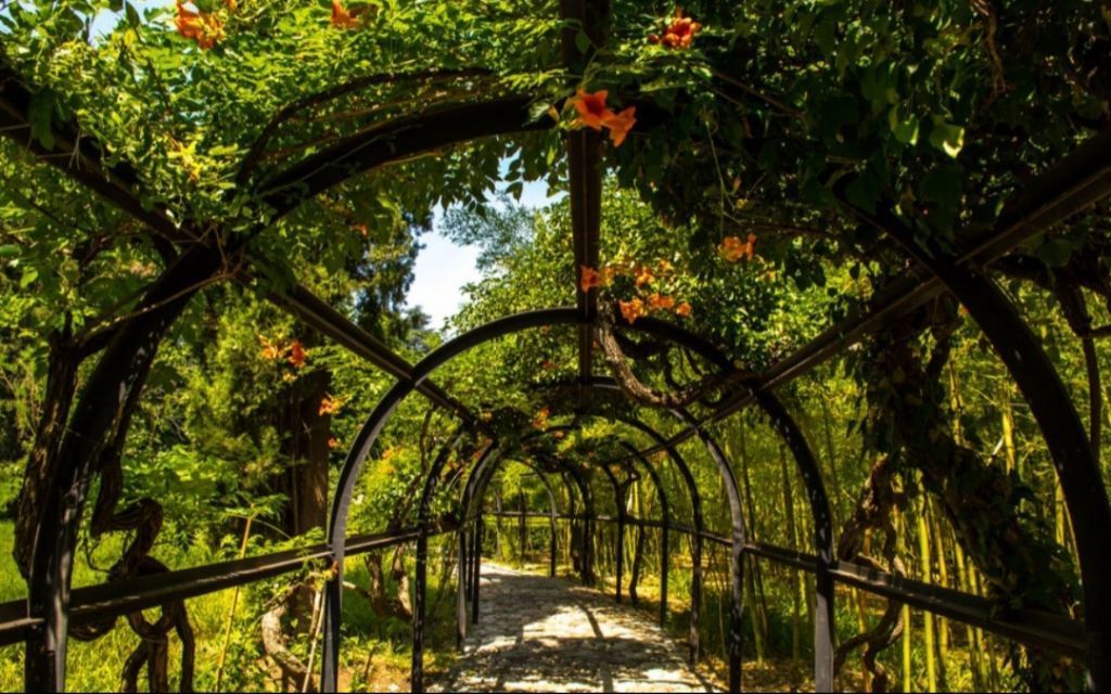 ივნისს შაბათს ერთდღიანი ტური კახეთში .. დარჩა ადგილი.. სიღნაღი-ბოდბე-ყვარელი-ღვინის გვირაბი-წინანდალი-შუამთის მონასტერი...