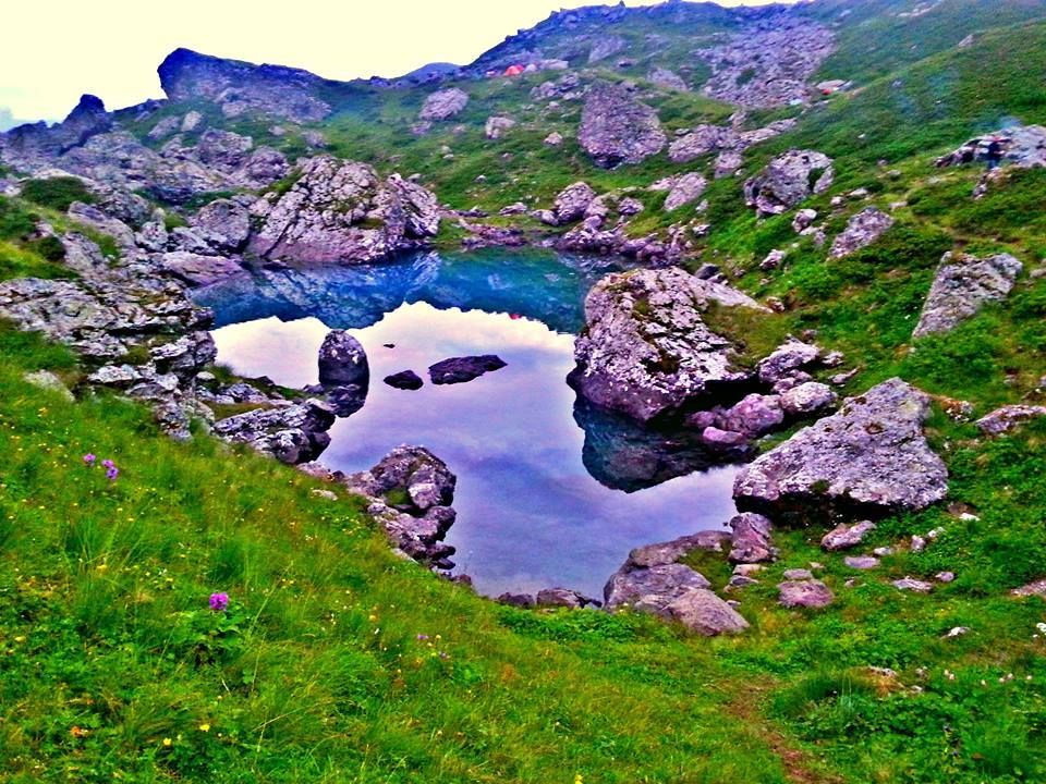 ივლისი - ერთდღიანი აბუდელაურის ტური