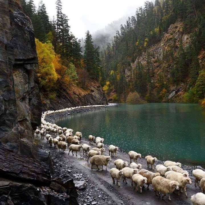 სამდღიანი ჯიპ-ტური თუშეთში