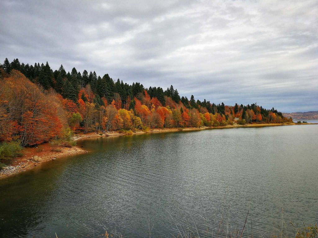 რაჭა:შაორი,ნიკორწმინდა,საყინულე,ბარაკონი (ივნისი)