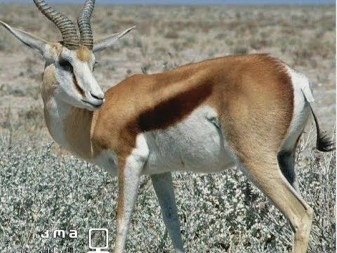 ვაშლოვანის დაცული ტერიტორიები