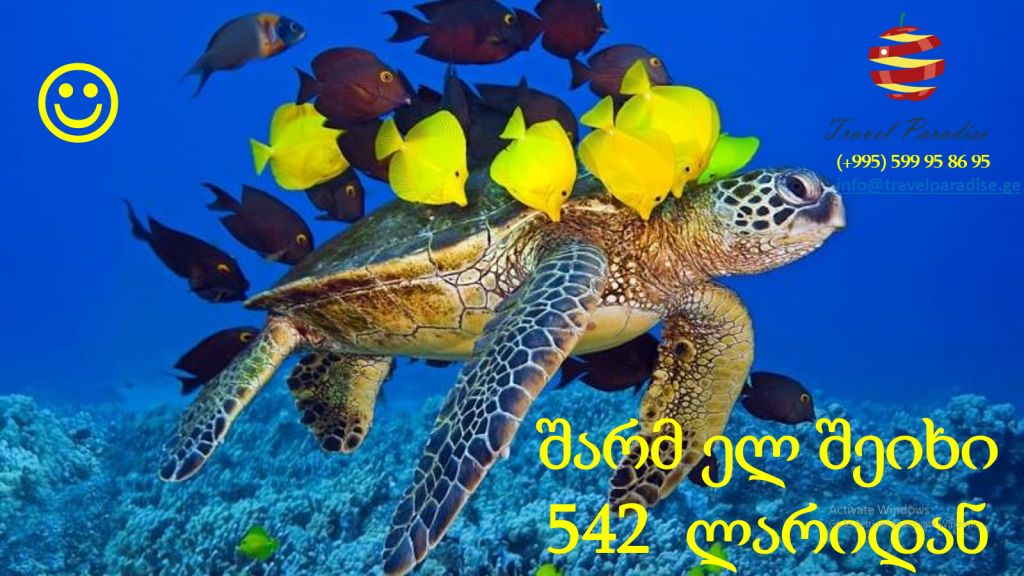 შარმ ელ შეიხი