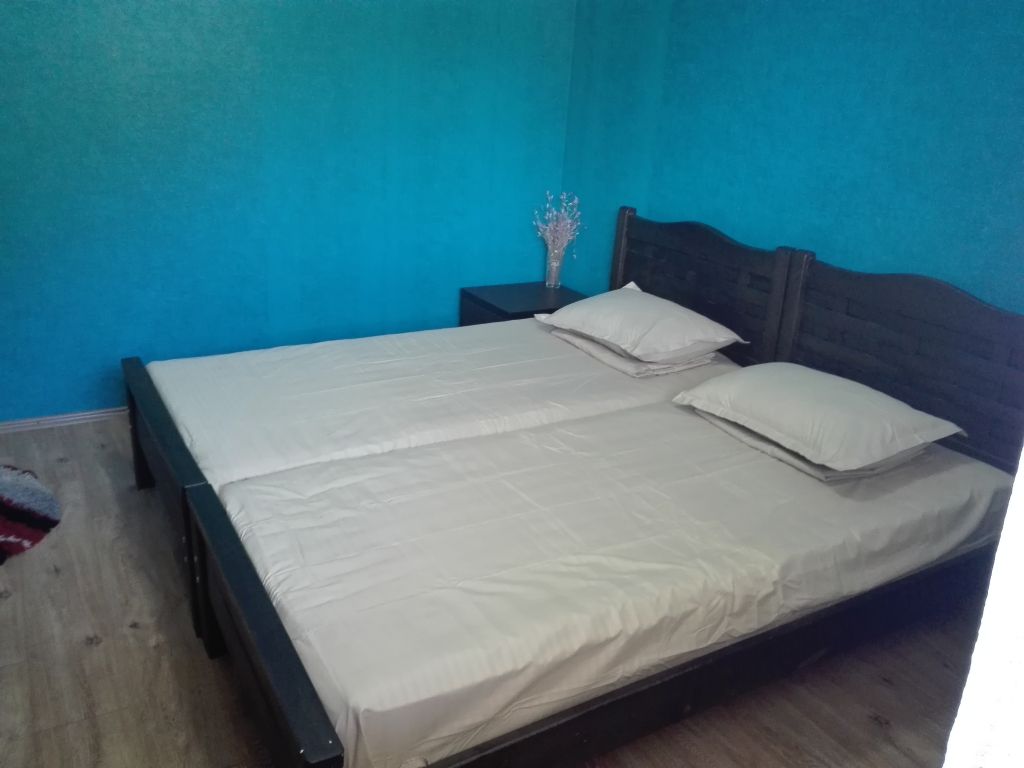 პიკნიკი მდინარე არაგვის პირას