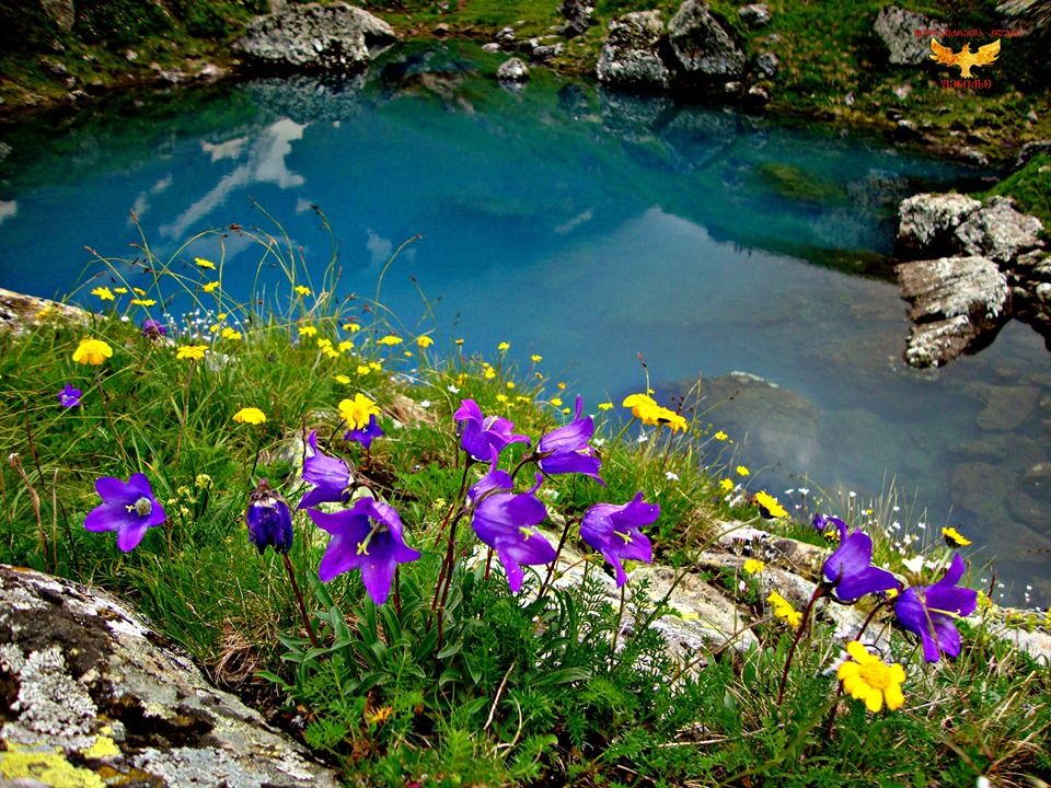აბუდელაურის ფერადი ტბები