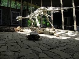 Пещера Прометея, заповедник Сатаплия (Батуми, Грузия)  @ Источник: https://www.sputnik.com/ru/batumi/activities/-peschera-prometeya-zapovednik-satapliya-batumi-gruziya