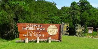 Пещера Прометея, заповедник Сатаплия (Батуми, Грузия) @ Источник: https://www.sputnik.com/ru/batumi/activities/-peschera-prometeya-zapovednik-satapliya-batumi-gruziya