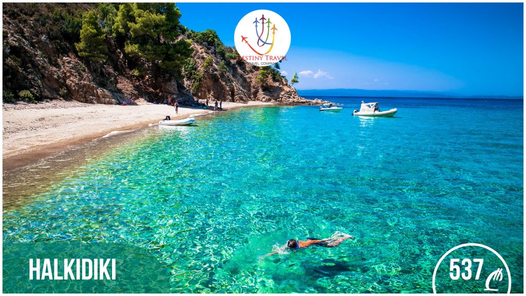 დღის აქცია ! ჰალკიდიკი კვირით