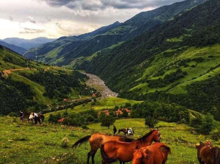 პოზიტიური ტურები ჩვენთან ერთად <
