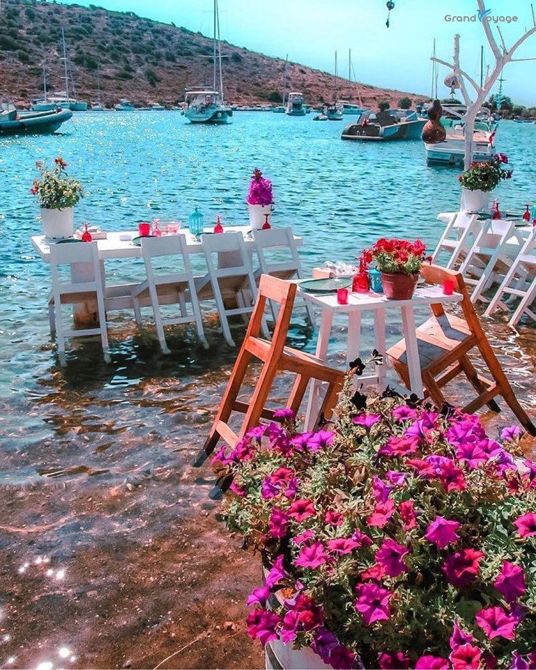 თურქეთის ლაჟვარდოვანი სანაპირო - ბოდრუმი