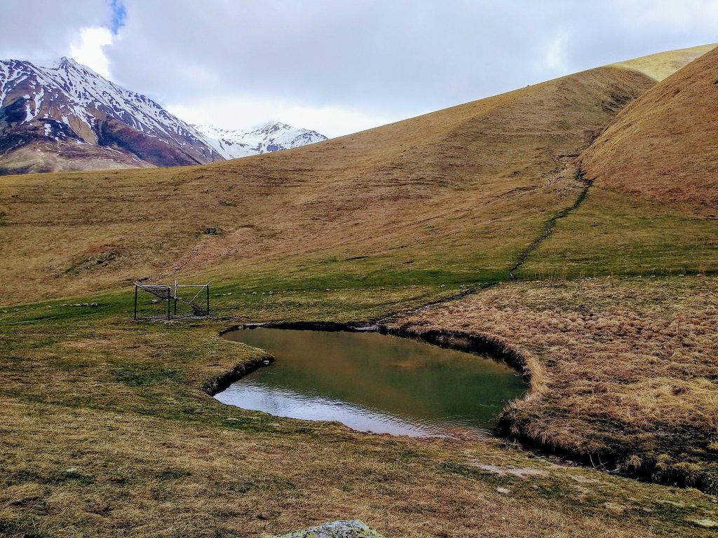 ჯუთას ტური ივლისს