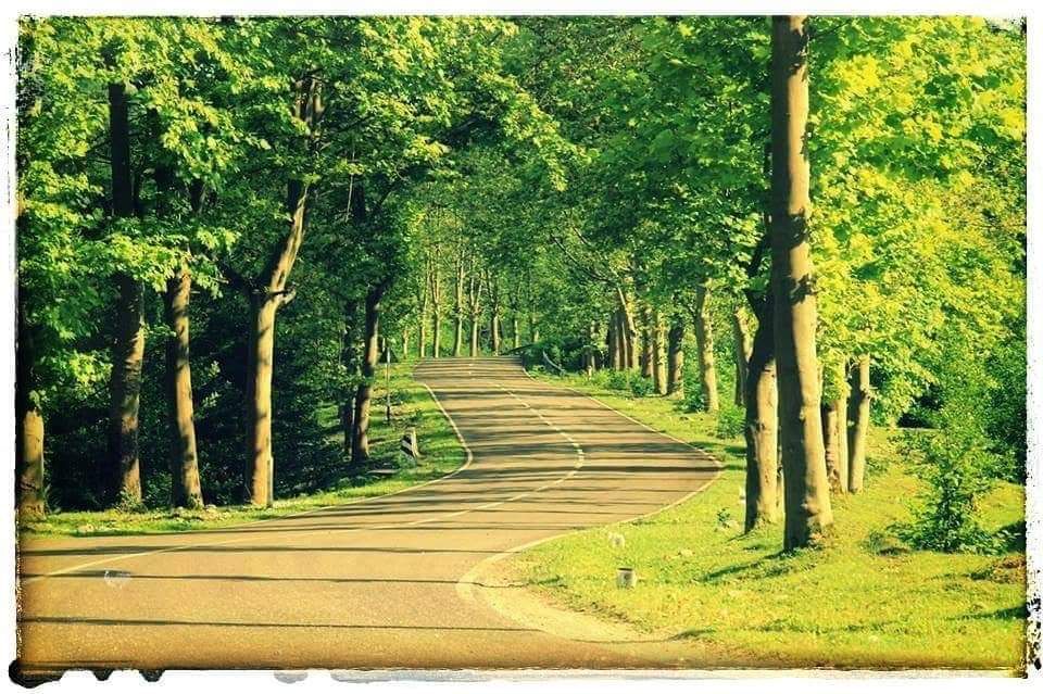  მარტვილი