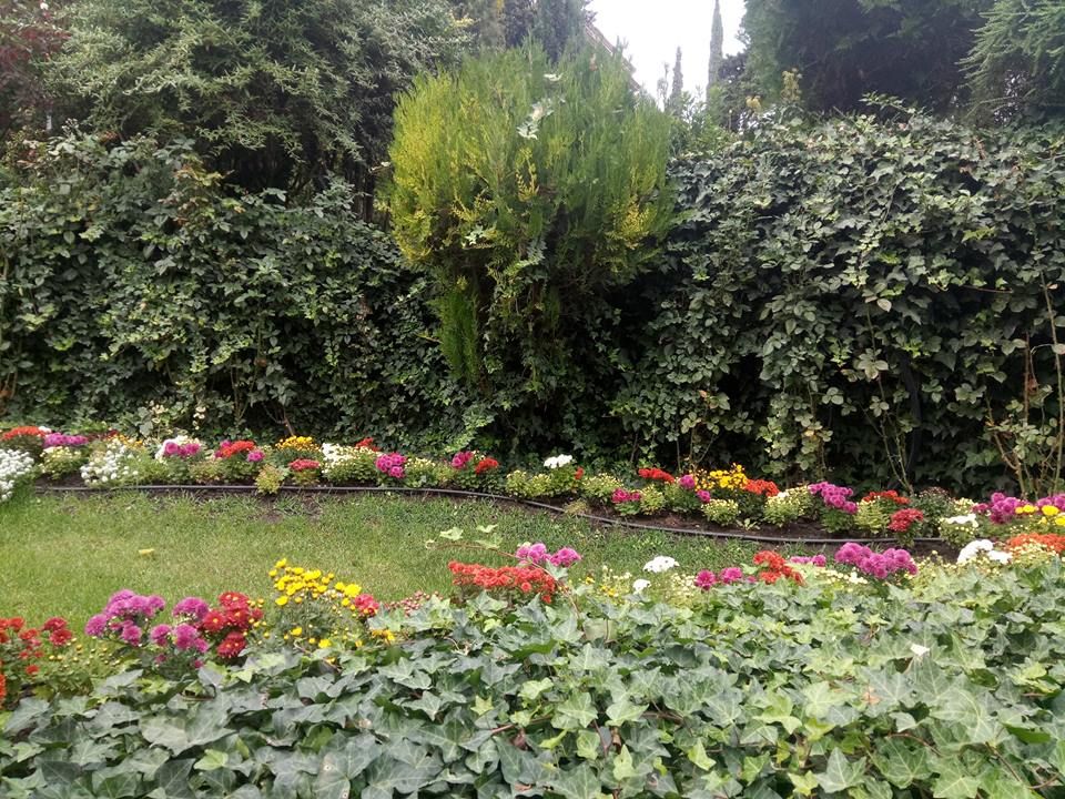 ლავანდების პლანტაცია, სიღნაღი, ბოდბე