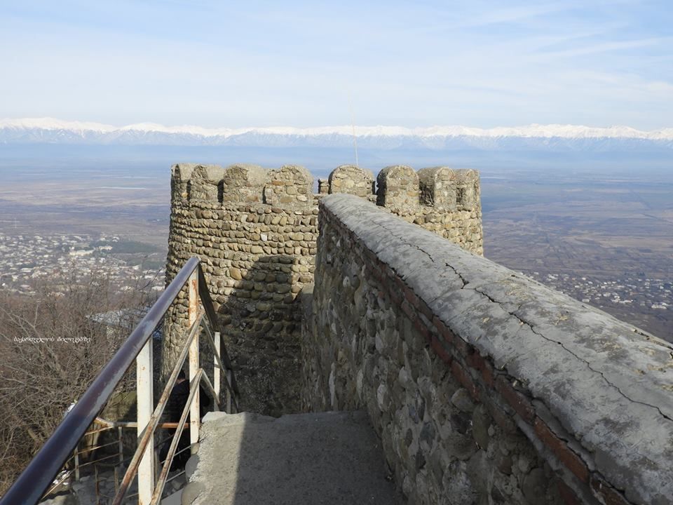 ლავანდების პლანტაცია, სიღნაღი, ბოდბე
