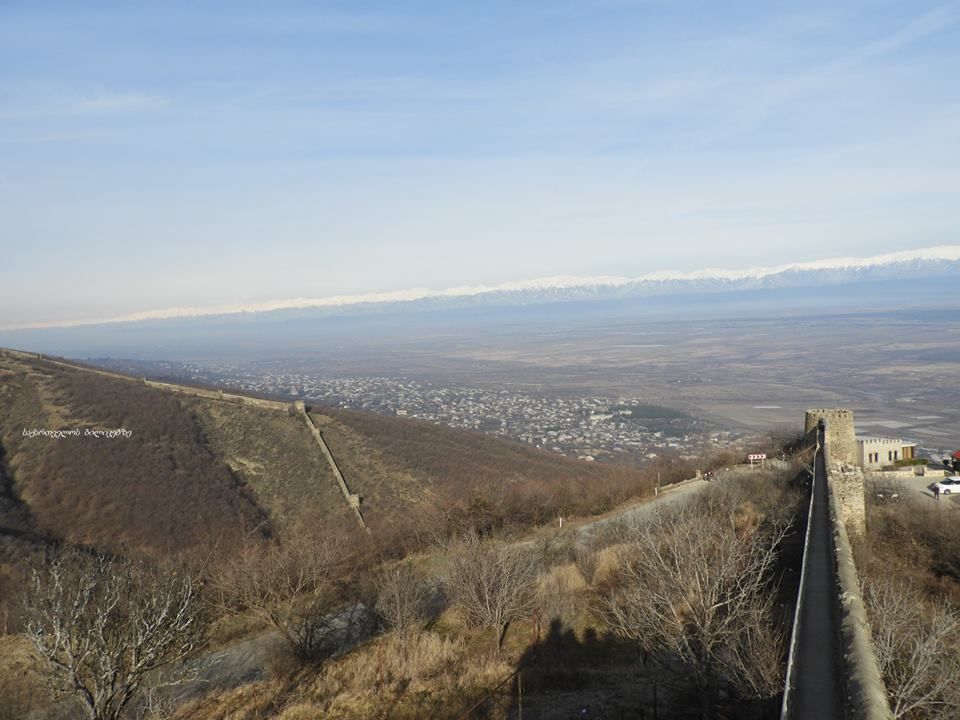 ლავანდების პლანტაცია, სიღნაღი, ბოდბე