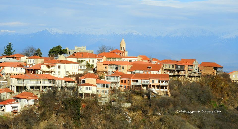 ლავანდების პლანტაცია, სიღნაღი, ბოდბე