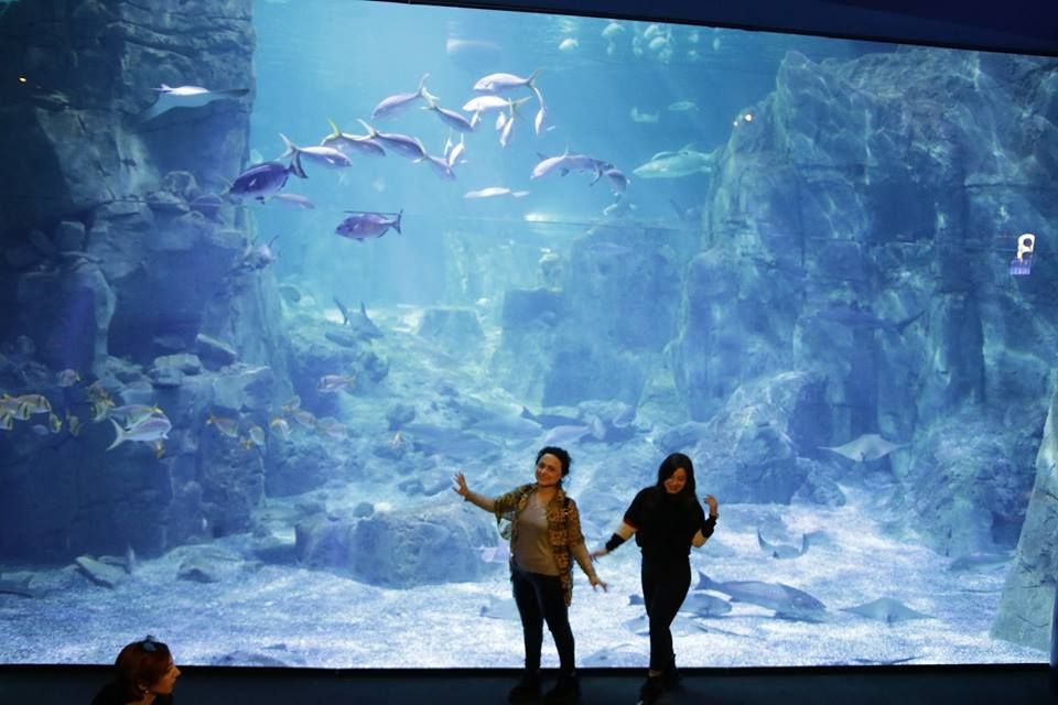 სტამბულის დღიანი ტური