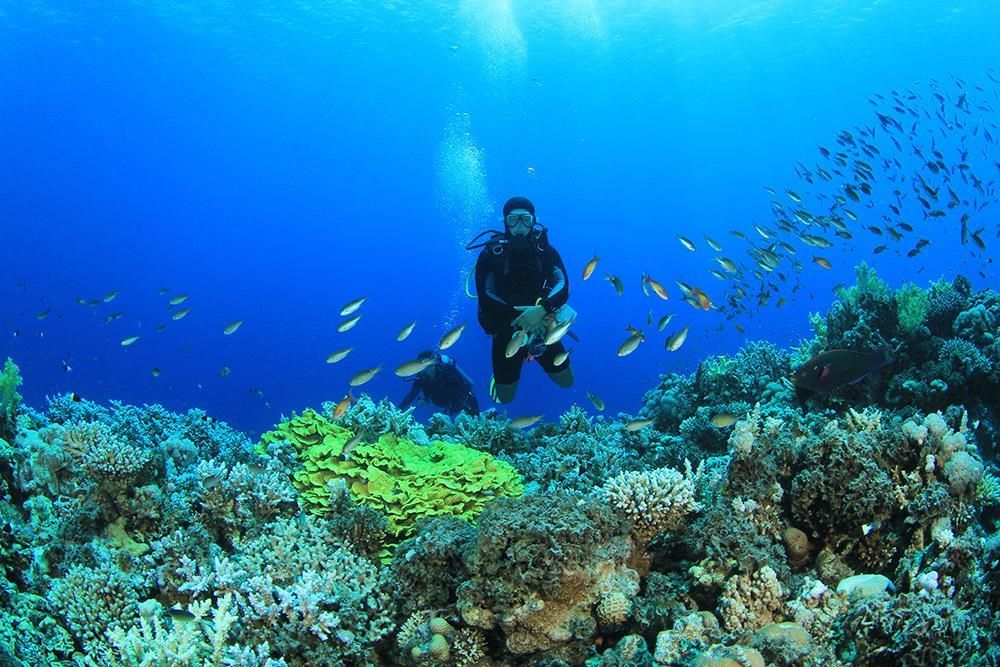 ჰურგადა ივლისში -