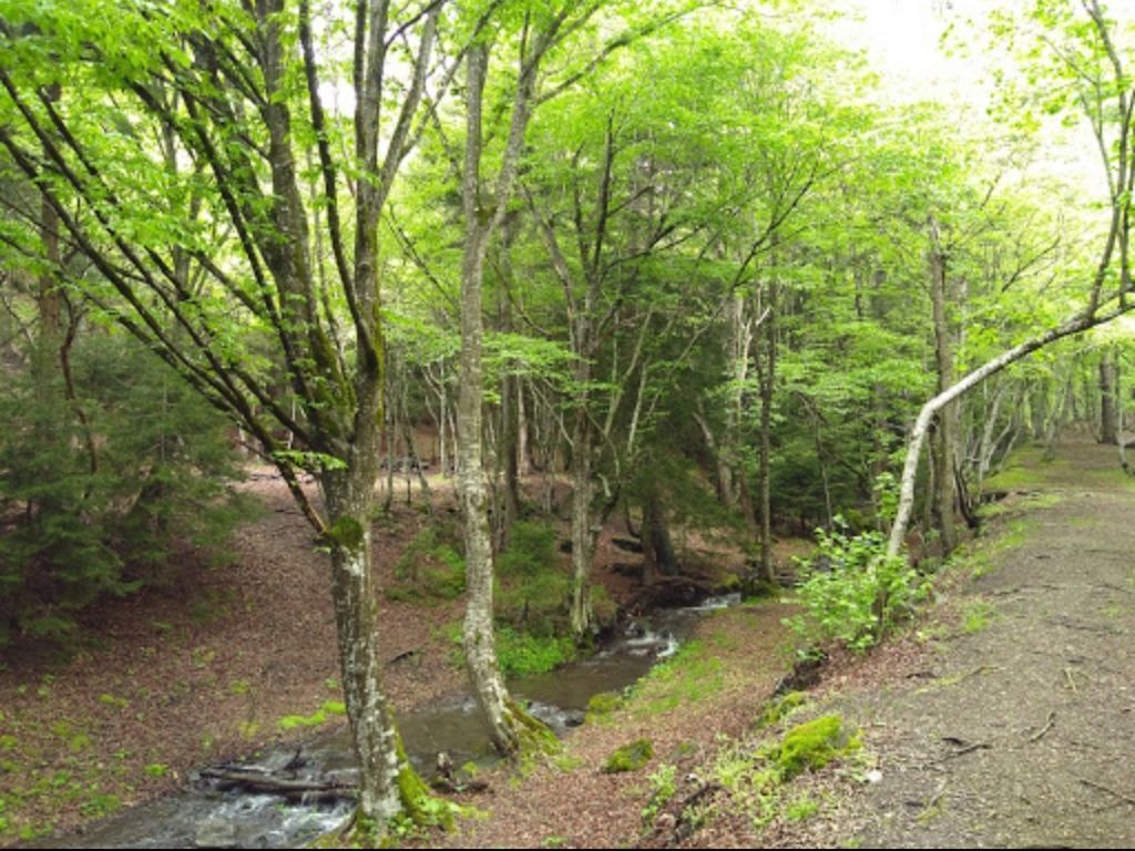 ერთდღიანი ტური სამცხე-ჯავახეთში .. ბორჯომი-მწვანე მონასტერი-რაბათი-ვარძია