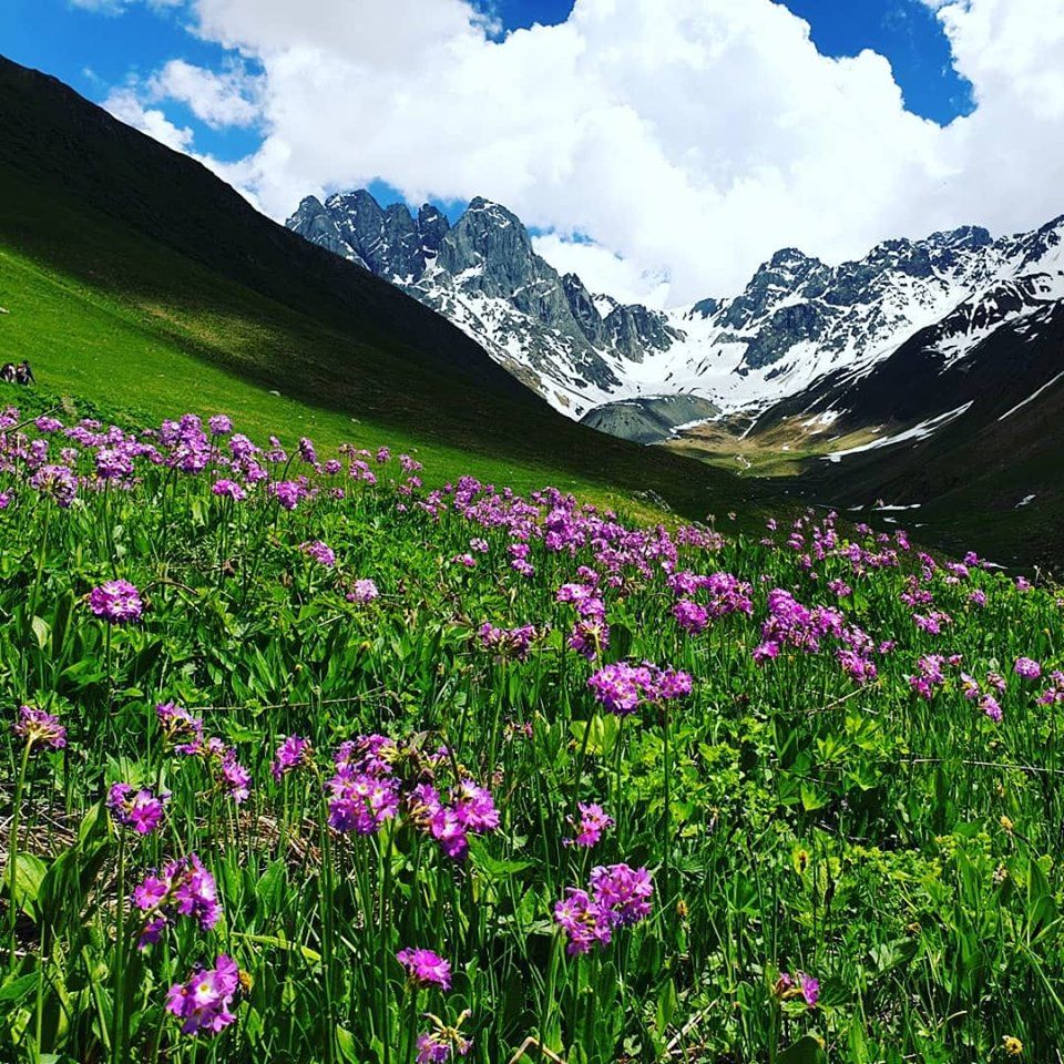 დღიანი ტური ჯუთაში